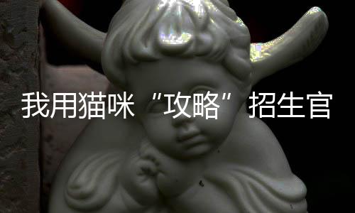 我用猫咪“攻略”招生官、拿下4张顶级院校动画offer+173W奖学金!