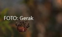FOTO: Gerak