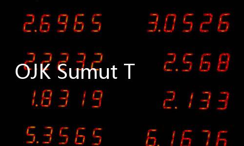 OJK Sumut Tindaklanjuti 592 Pengaduan Konsumen