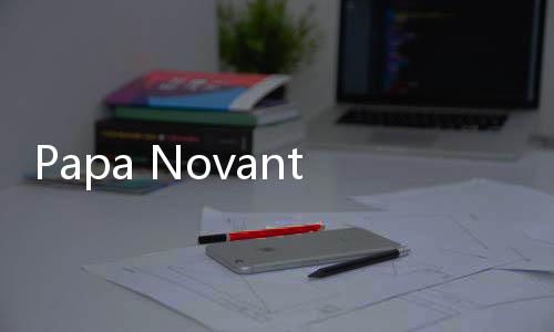 Papa Novanto Akui Fee PLTU Riau