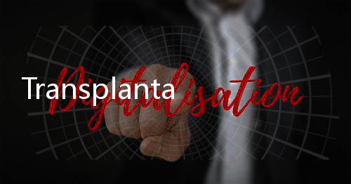 Transplantasi Ginjal Babi ke Manusia Berhasil Dilakukan di AS